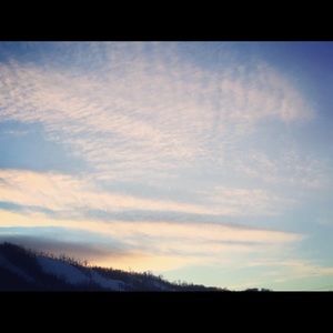 Meet your Posher, Teresa